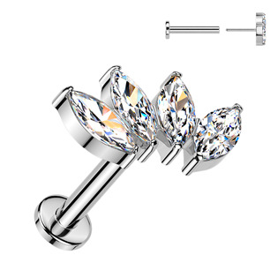 TIT1624 Piercing do brady - PUSH IN labreta TITAN