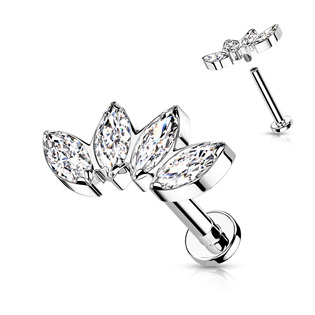TIT1161-1206 Piercing do brady / ucha TITAN