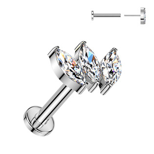 TIT1625 Piercing do brady - PUSH IN labreta TITAN