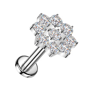 LB1163-1206 Piercing do brady kytička