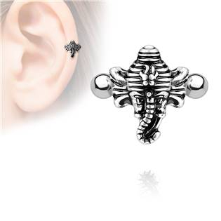 CP1023 Cartilage piercing do ucha - slon