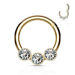 K01057-GDC Zlacený piercing kruh segment 1,2 x 8 mm
