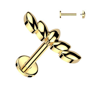 LB1119-1206 Piercing do brady labreta / cartilge