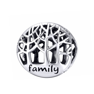 NB-8198 Stříbrný přívěšek korálek "family"