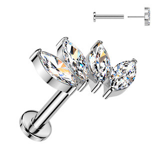 TIT1624 Piercing do brady - PUSH IN labreta TITAN