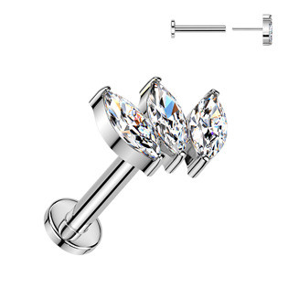 TIT1625 Piercing do brady - PUSH IN labreta TITAN
