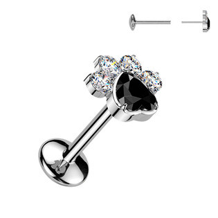 TIT1664 Piercing do brady tlapka - PUSH IN labreta TITAN