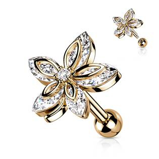 CP1086-RD Cartilage piercing do ucha