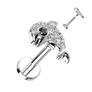 LB1115ST-1206 Piercing do brady delfín