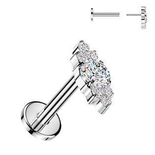 TIT1786 Piercing do brady - PUSH IN labreta TITAN